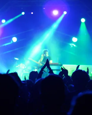 The Grapes of Wrath - Band