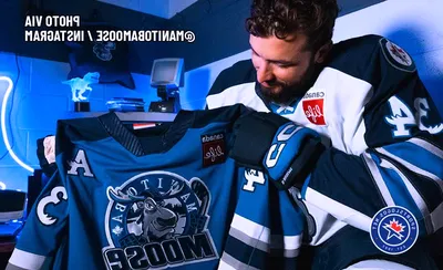 Manitoba Moose