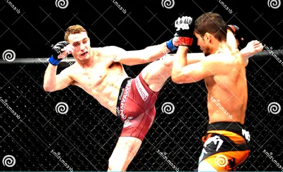 UFC - Ultimate Fighting Championship